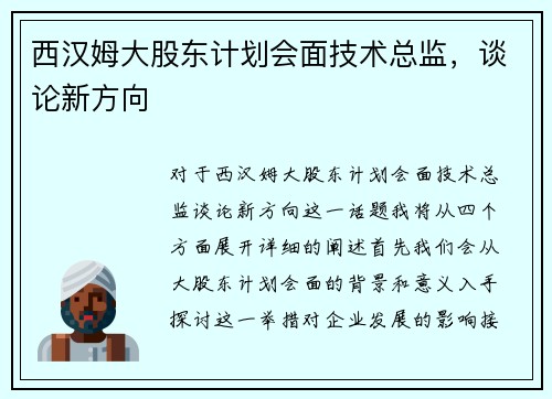 西汉姆大股东计划会面技术总监，谈论新方向